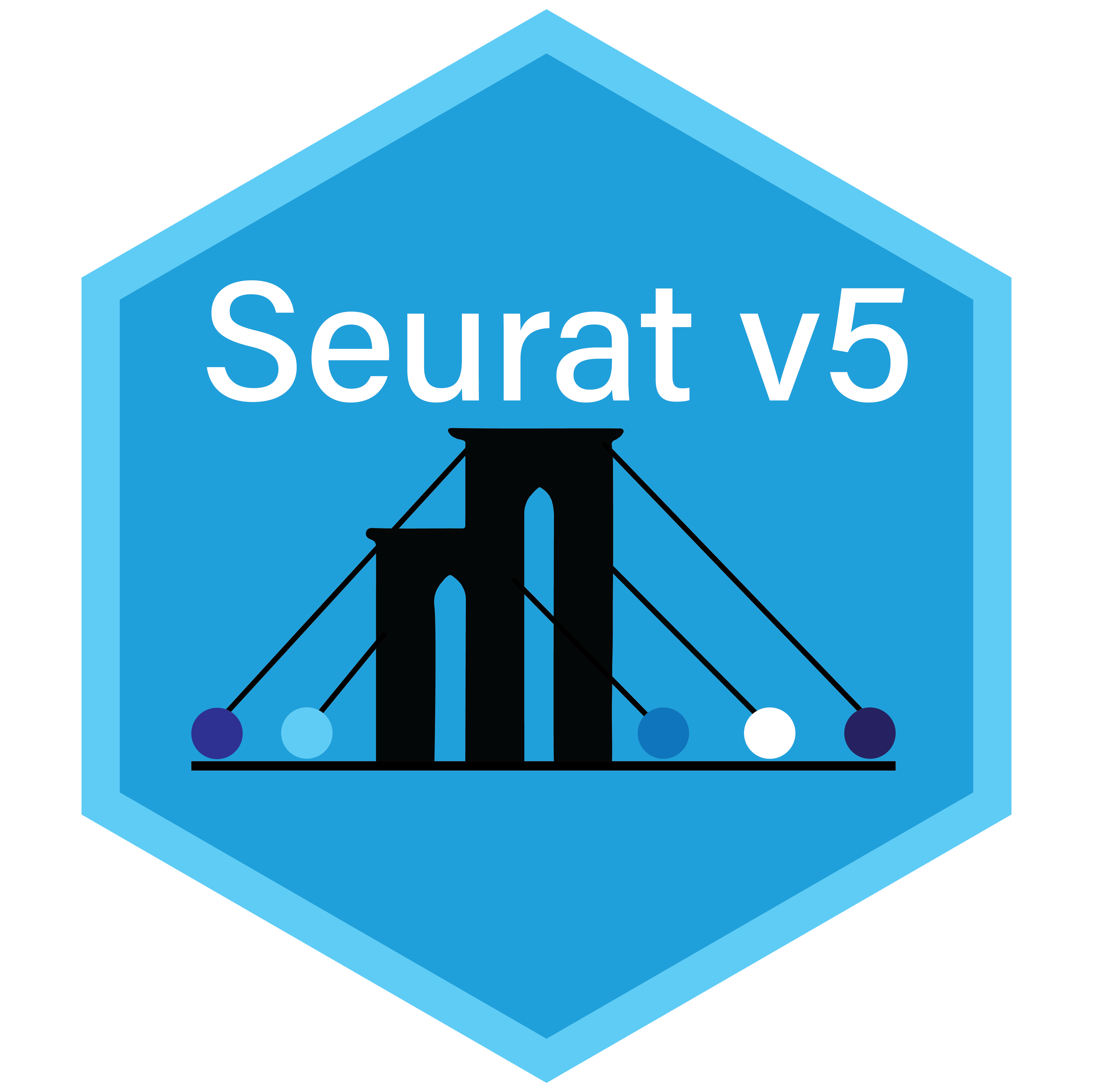 Seurat v5: